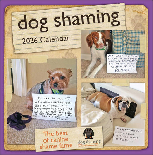 DOG SHAMING 2026 WALL CALENDAR
